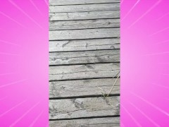 Chub trans looks for cock to suck in the woods!