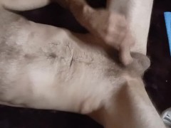 Self release - Screenshot 6 of 16 - Masterbation