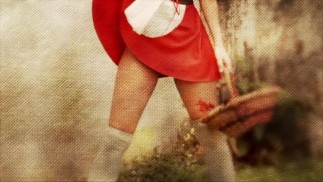 Le petit chaperon rouge et le grand méchant loup
