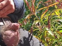 Pissing in the mountains