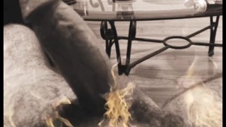 Давид, волосатый медвежонок с медвежьей спиной