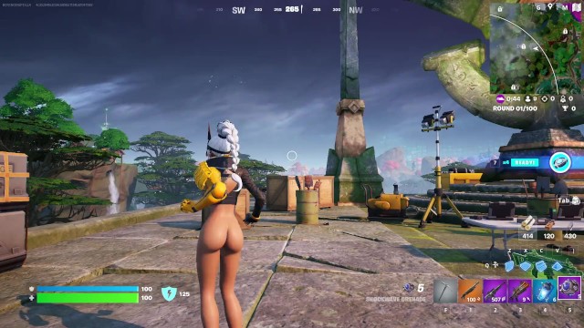 Игровой процесс Fortnite (тигрица без штанов)