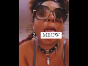Preview 3 of MEOW MEOW