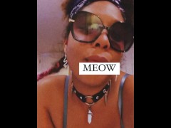 MEOW MEOW