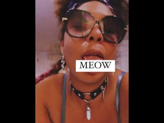 MEOW MEOW