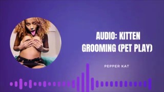 Áudio: ASMR Kitten Grooming