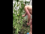 Preview 6 of boy jerks off his dick in the garden