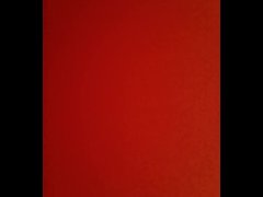 Kitty cat loves to play