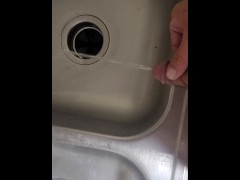 Desperate piss in kitchen sink