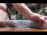 The Roostercombs show, "Sloppy, tacky, goopy,Monster Cock hand job with tight clear tube" 🔥 🥵