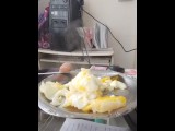 i fried eggs to me Watch me eat
