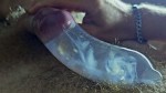 Playlist Thumb 65543802-2