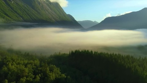 Harmony íntima: Música sensual para la relajación. Nature 2KUHD Video de relajación