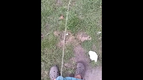Short peeing video