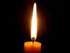 The little brat & your bag of trix - 1