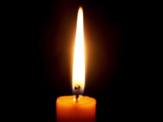 Маленькая соплячка и твоя сумка с триксом - 1