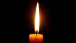 Маленькая соплячка и твоя сумка с триксом - 1