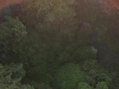Caught Fucking On Drone Outdoors