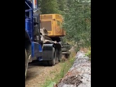 Logging videos