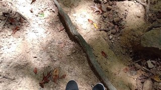 POV hier in de natuur geil wandelen aan het begin van de dag