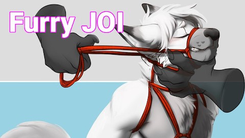 Furry JOI || Tied up and Teased