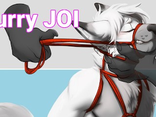 Furry JOI || Tied up and Teased