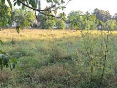 Загорали в общественном месте и возбудились. Часть 2 - Screenshot 10 of 16 - Close Up Pussy Fuck