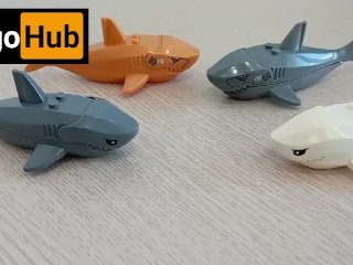 shark, lego, asian, fitting room