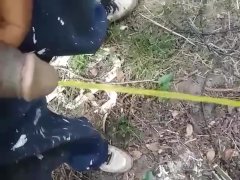 Pissing