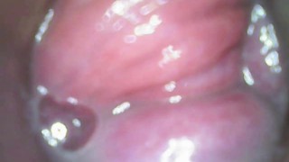 Endoscópio dentro de mim: encharcado e cheio de esperma
