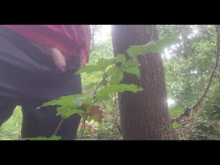pissing, forest, male, dick