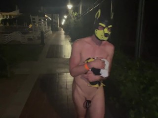 Cachorrinho Trancado Naked Caminhada