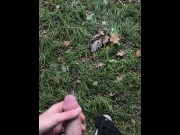 Preview 2 of Jerking off in public park