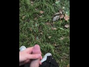 Preview 3 of Jerking off in public park