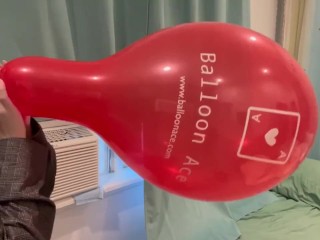 Een 14'' Belbal Ballon Opblazen Tot Hij POPT!