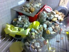 yard part two i think or accidental upload