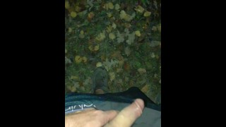 Compilation Of A Lone Man Having Shit Outside
