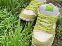 Поймал самку медведя в лесу и она радостно согласился заняться со мной сексом 7/16