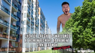 CHEATER BETRAPT & SWALLOWED THUISWRECKERS APPARTEMENT GIANT GROWTH - special effects