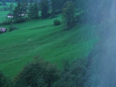 Verry good - Screenshot 1 of 16 - Nature
