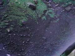 Verry good - Screenshot 10 of 16 - Beautiful Scenery