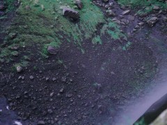 Verry good - Screenshot 11 of 16 - Nature