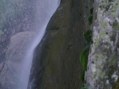 Verry good - Screenshot 14 of 16 - Nature Photography