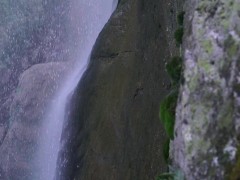 Verry good - Screenshot 16 of 16 - Nature