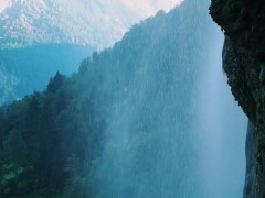 Verry good - Screenshot 4 of 16 - Nature Photography