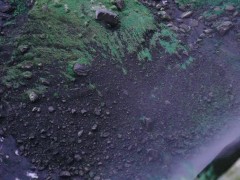Verry good - Screenshot 9 of 16 - Nature Photography