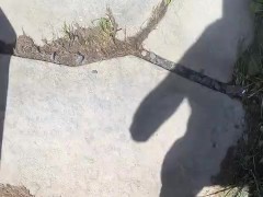 Nude in my yard big floppy dick