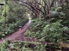 Подцепил потеряшку в лесу и выебал в заброшенной вилле - Screenshot 1 of 16 - Forest