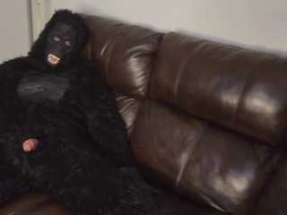 Bedrogen Stiefzus in Halloween Gorilla Kostuum 🔥 🔥