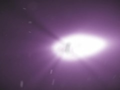 ASSisting The Talent / TransAngels - Screenshot 16 of 16 - Transangels